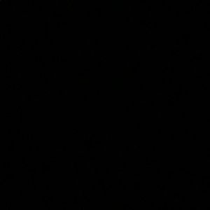 Meet your Posher, Amelia